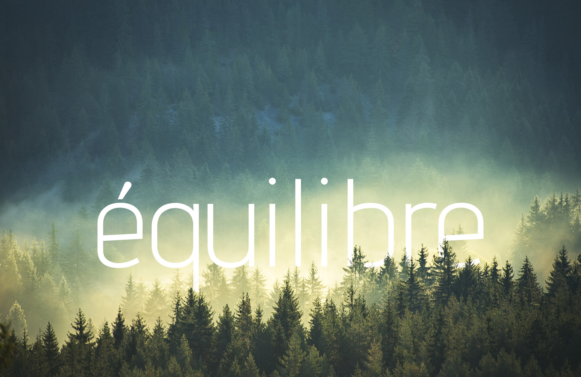 Equilibre