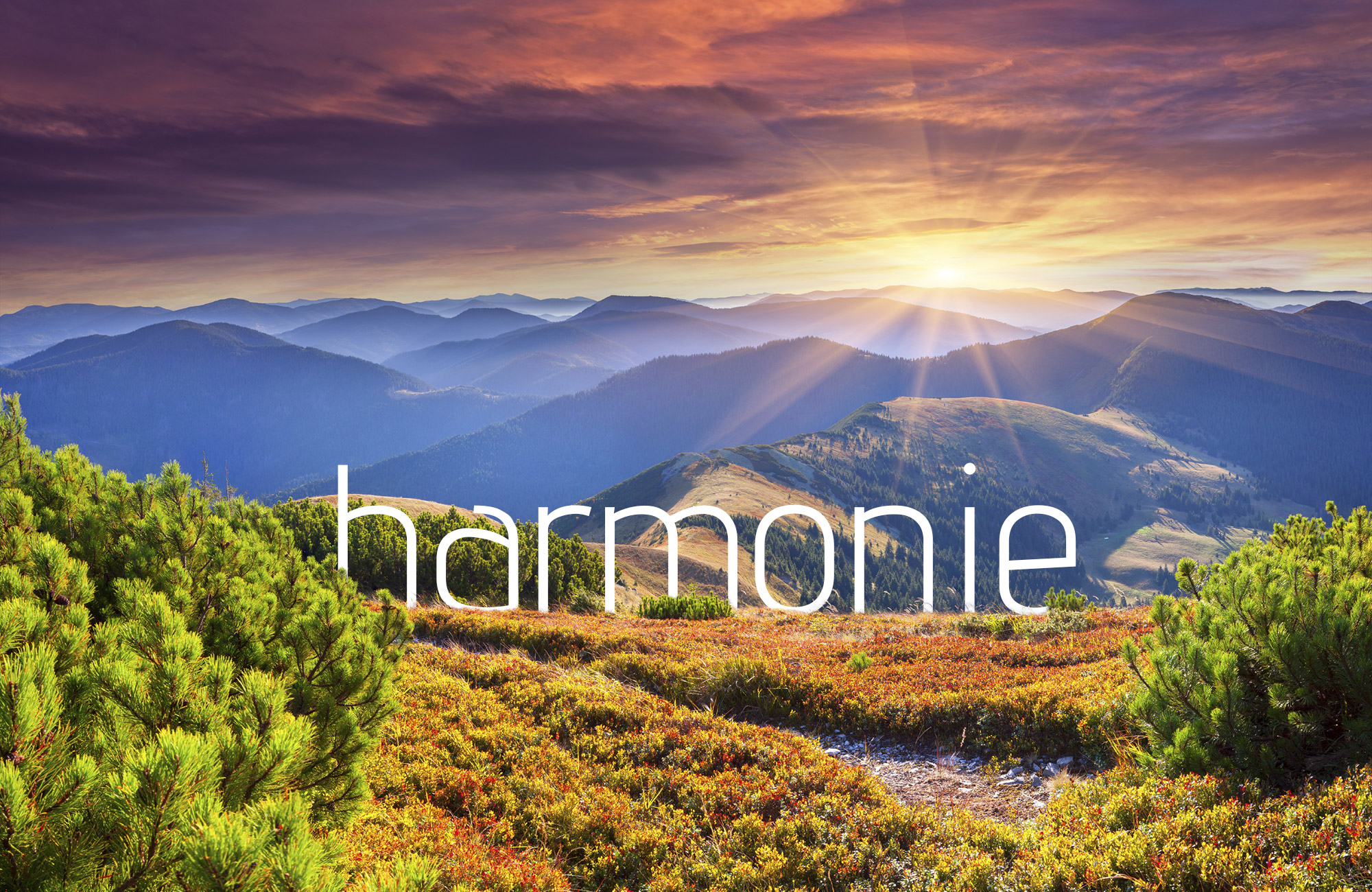 Harmonie