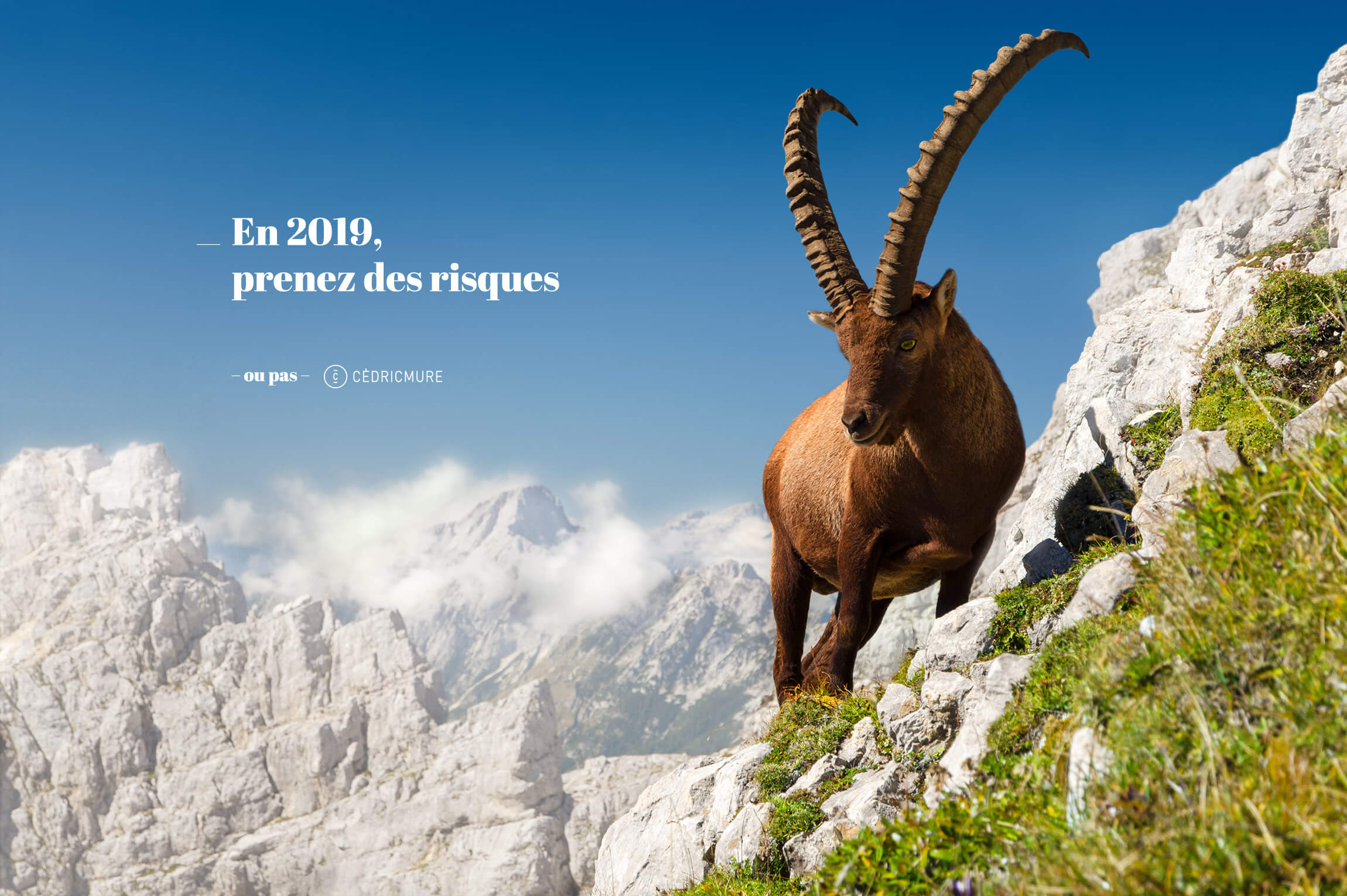 Meilleurs voeux 2019