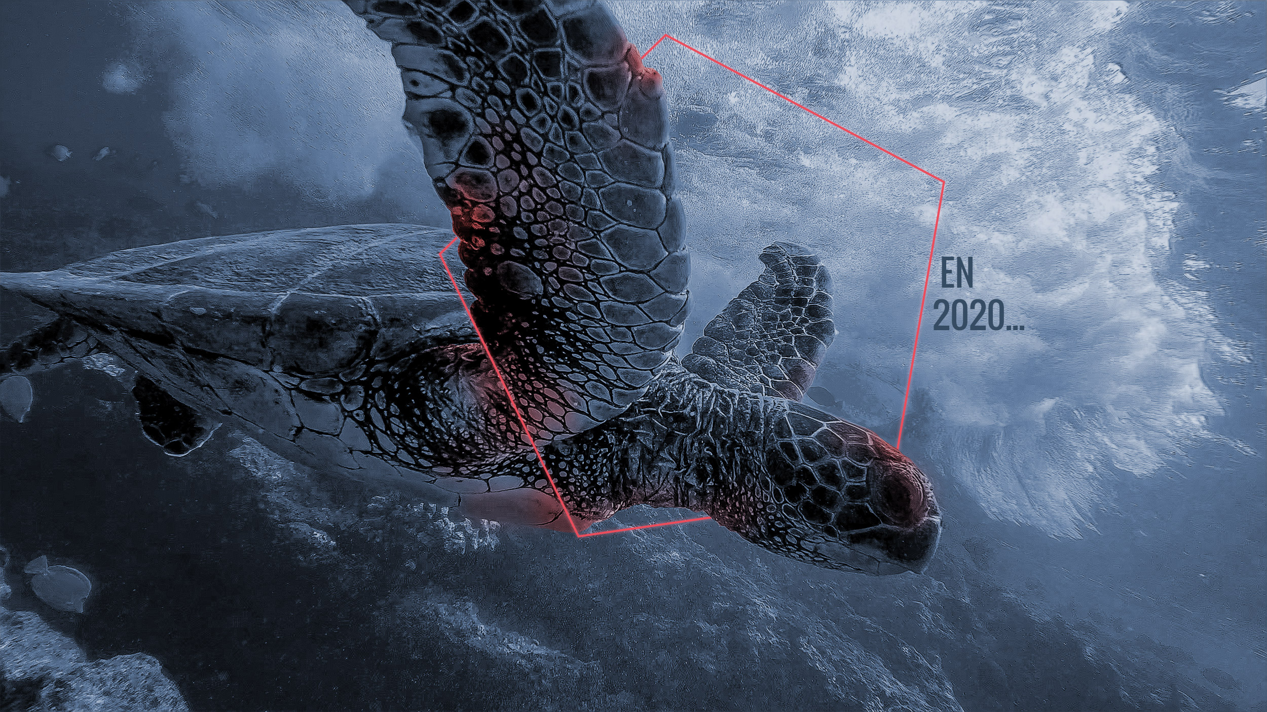 En 2020