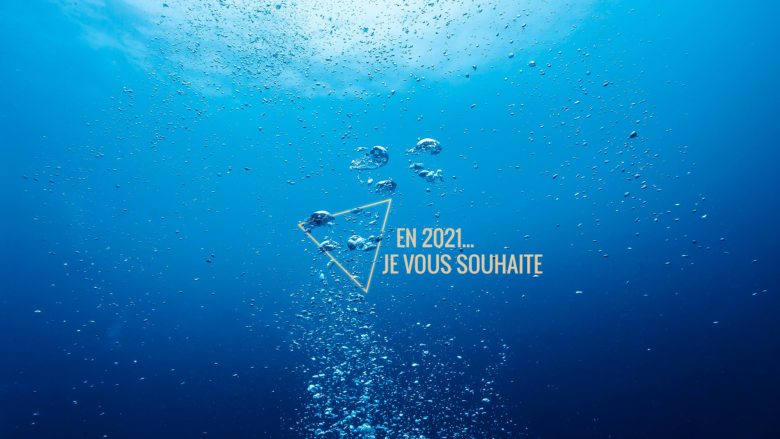 JE VOUS SOUHAITE