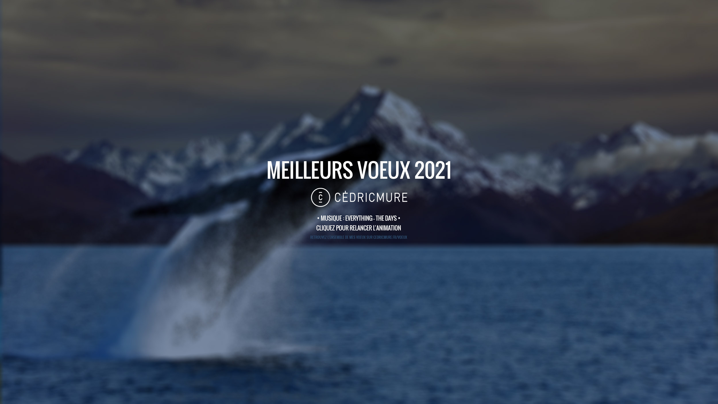MEILLEURS VŒUX 2021