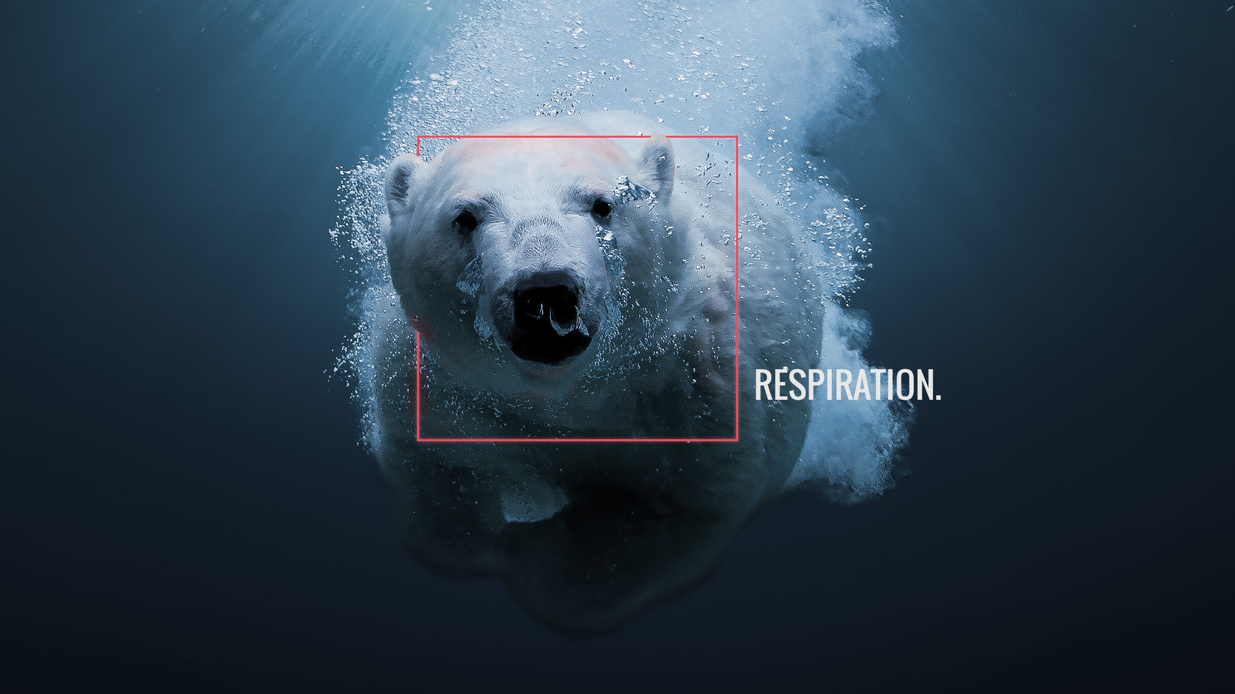 Respiration