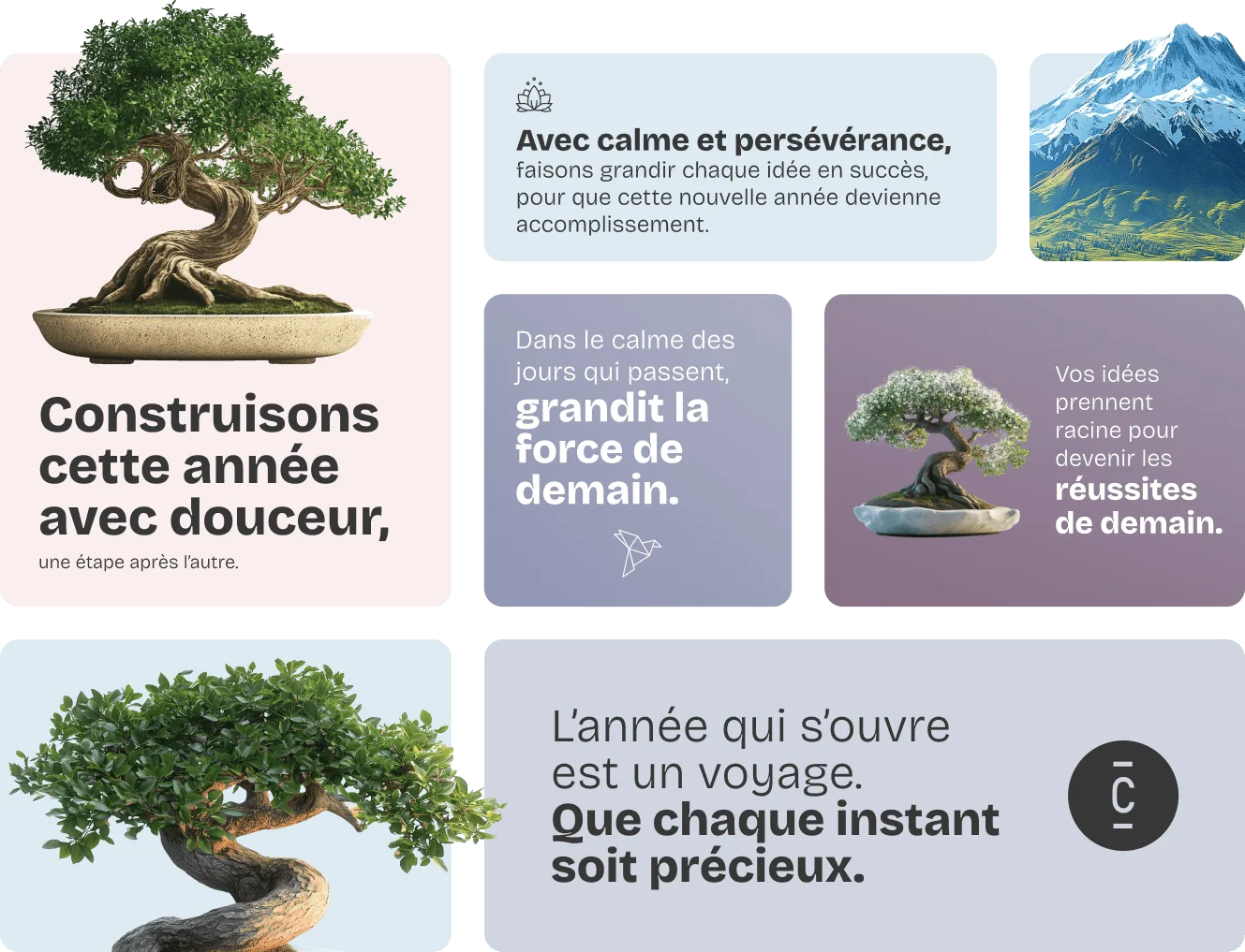 Construisons cette année avec douceur, avec calme et persévérance, faisons grandir chaque idée en succès, pour que cette nouvelle année devienne accomplissement